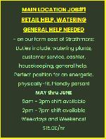 STRATHMORE HELP WANTED - Photo 2