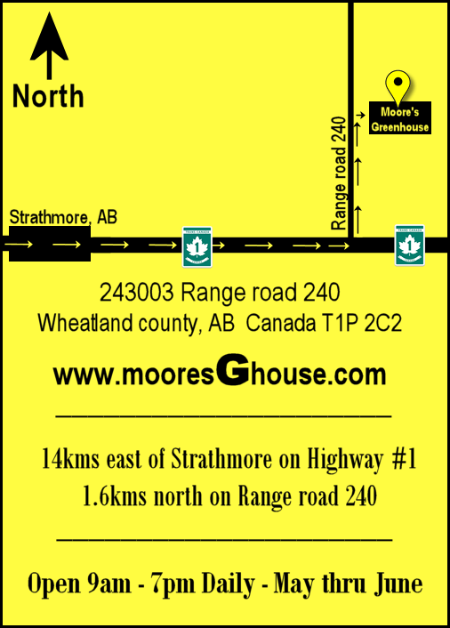 STRATHMORE HELP WANTED - Photo 8