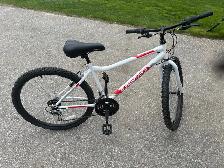 Supercycle