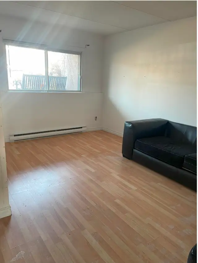 Renovated Semi-Basement 4½ available now (rental) - Photo 3