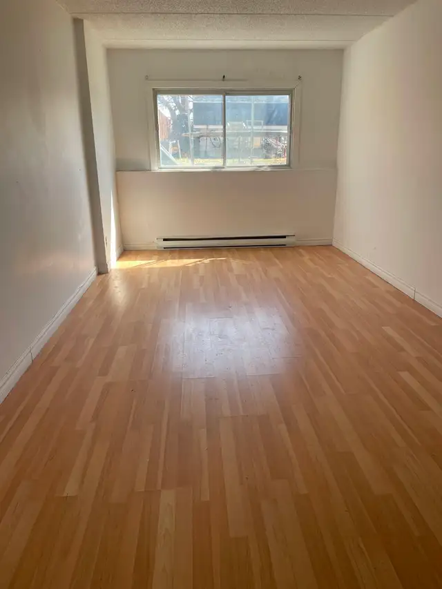 Renovated Semi-Basement 4½ available now (rental) - Photo 5