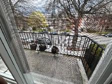 Grand Ahuntsic 3 1/2 logement à louer - juillet 1 - Photo 4