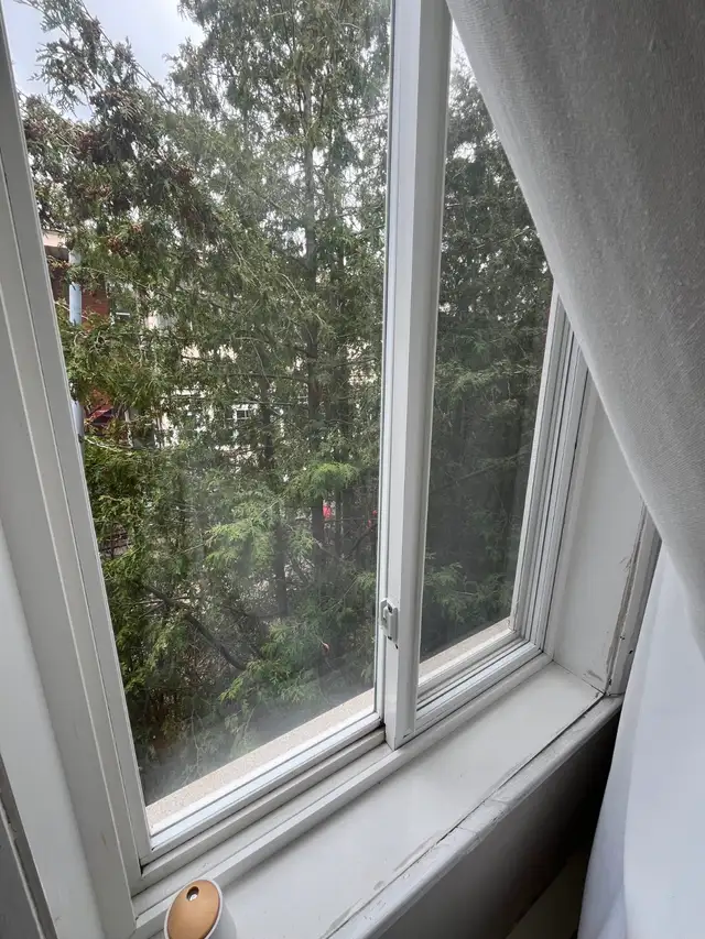 Grand Ahuntsic 3 1/2 logement à louer - juillet 1 - Photo 9