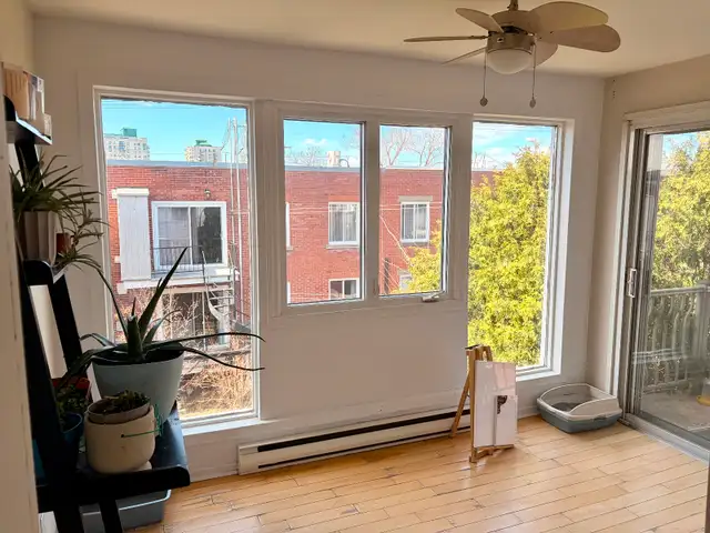 Apparemment 5 1/2 à louer Rosemont-Petite Patrie - Photo 7