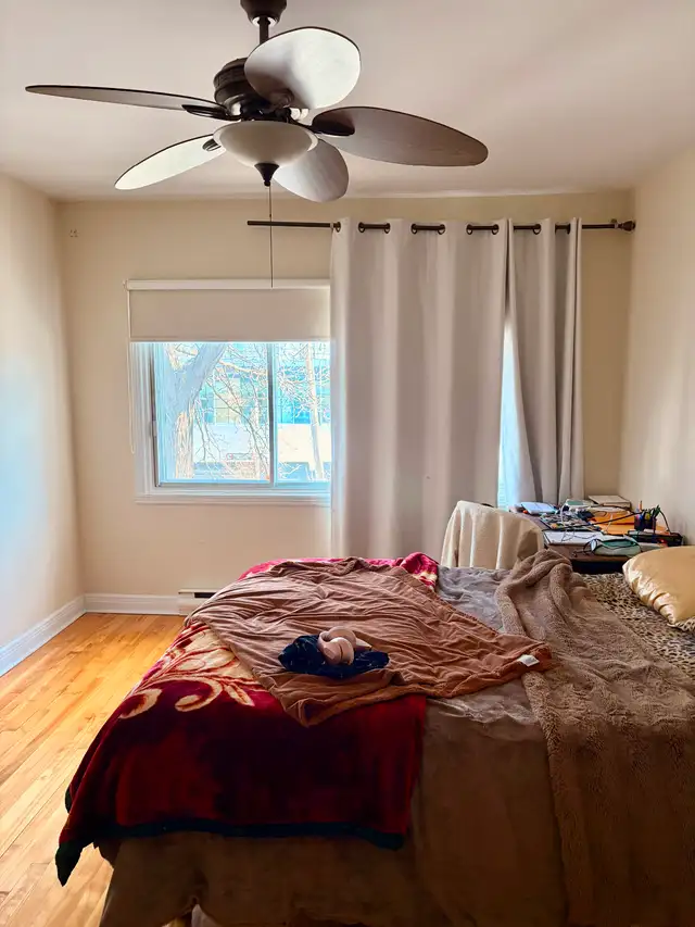 Apparemment 5 1/2 à louer Rosemont-Petite Patrie - Photo 8