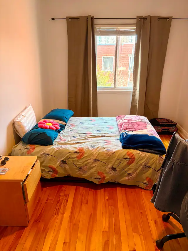 Apparemment 5 1/2 à louer Rosemont-Petite Patrie - Photo 9