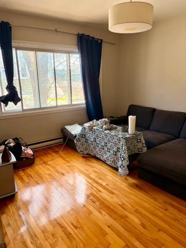 Apparemment 5 1/2 à louer Rosemont-Petite Patrie - Photo 10