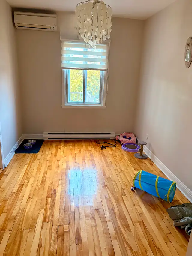 Apparemment 5 1/2 à louer Rosemont-Petite Patrie - Photo 11