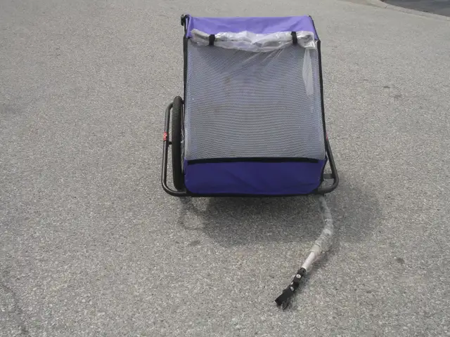 MUST SELL NOW BIKE TRAILER FOR TWO KIDS EVERYTHING INCLUDED! - Photo 5