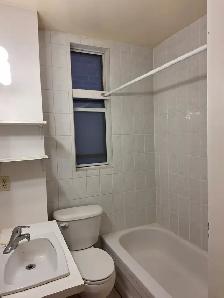CABBAGETOWN: 1-Bedroom Apartment at Parliament/Gerrard St East - Photo 2