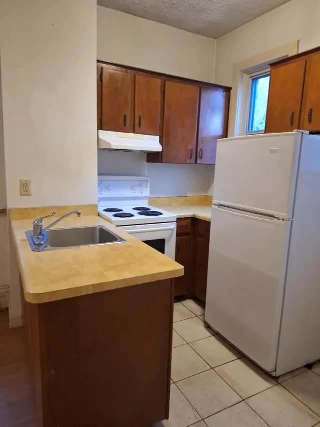 CABBAGETOWN: 1-Bedroom Apartment at Parliament/Gerrard St East - Photo 3