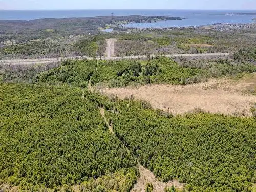 60 ACRES NEAR THE OCEAN!
