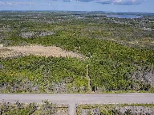 60 ACRES NEAR THE OCEAN! - Photo 2