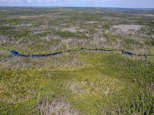 60 ACRES NEAR THE OCEAN! - Photo 3
