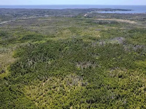 60 ACRES NEAR THE OCEAN! - Photo 5