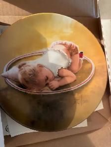 plate collectors