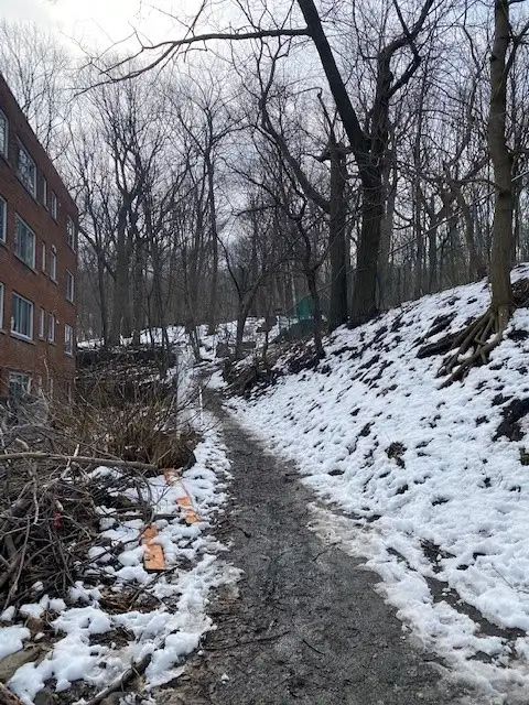 Logement sur la rue Ridgewood à louer - Photo 11