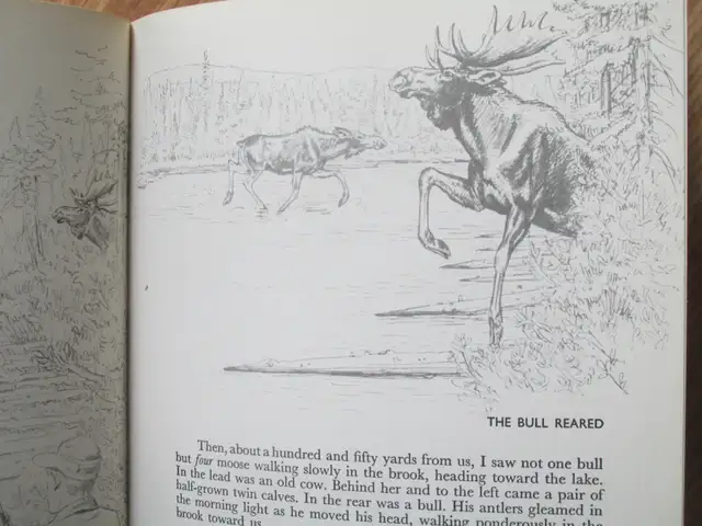 VINTAGE BOOK - HUNTING WITH RIFLE AND PENCIL – by Charles Liedl - Photo 7