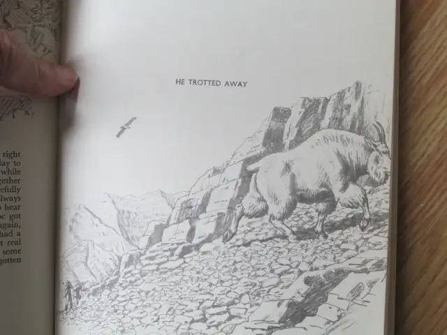 VINTAGE BOOK - HUNTING WITH RIFLE AND PENCIL – by Charles Liedl - Photo 8