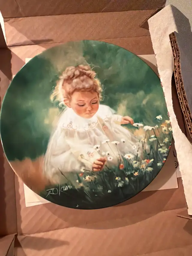 plate collectors