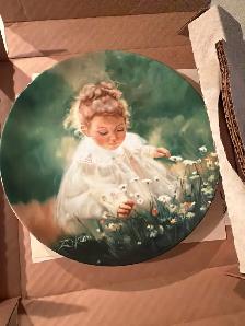 plate collectors