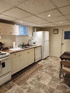 LUXURY FULLY FURNISHED 1 BEDROOM APARTMENT IN CENTRAL TORONTO - Photo 3