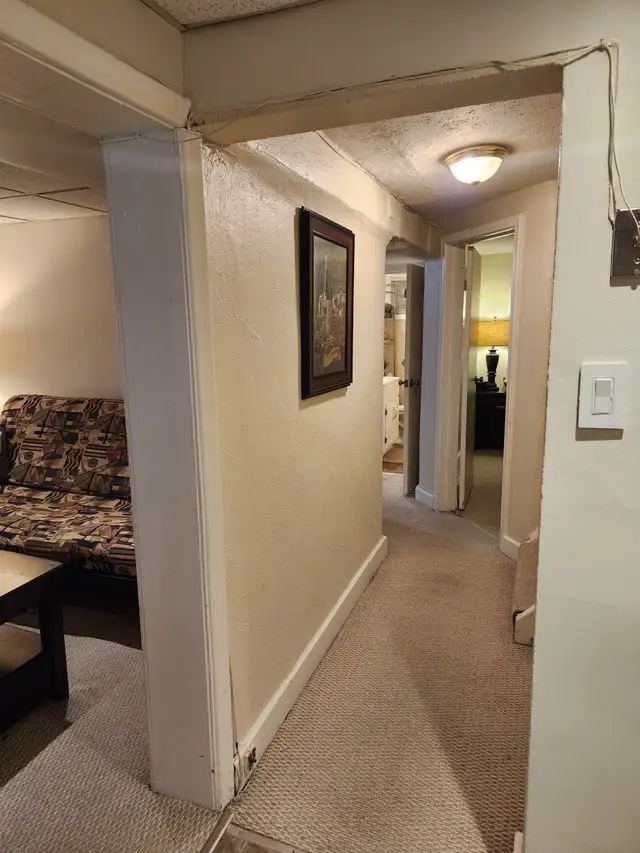 LUXURY FULLY FURNISHED 1 BEDROOM APARTMENT IN CENTRAL TORONTO - Photo 8