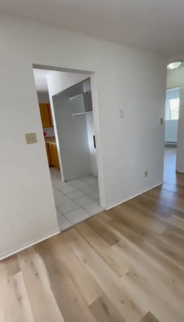Grand 4 1/2 à louer – Gatineau – Lumineux et Rénové - $1,395 - Photo 3