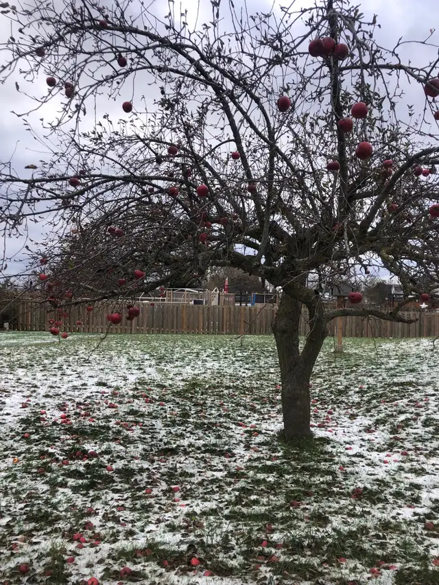 lot in ST Williams Ontario
