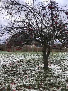 lot in ST Williams Ontario