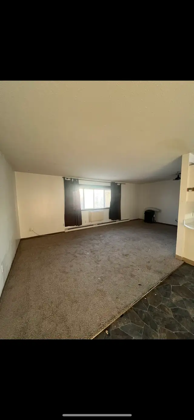 Fast friendly junk removal service! - Photo 4