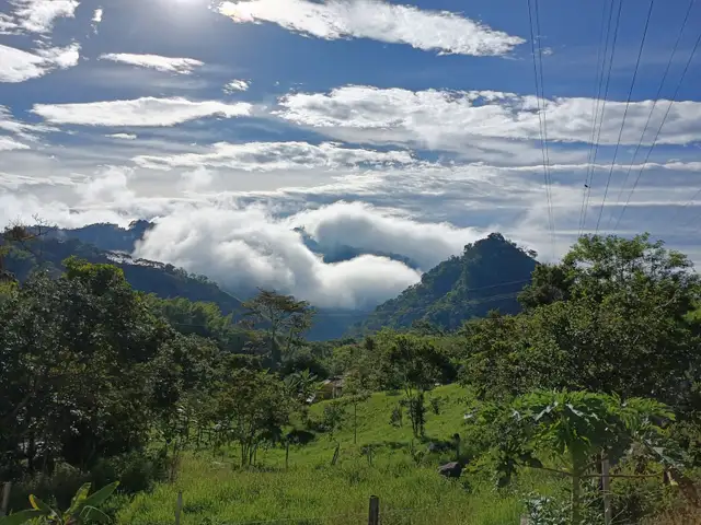 Andes Chalet in the Coffee Triangle  of Colombia