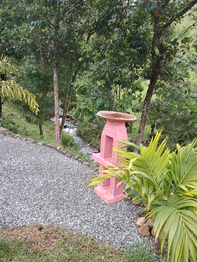 Andes Chalet in the Coffee Triangle  of Colombia - Photo 3