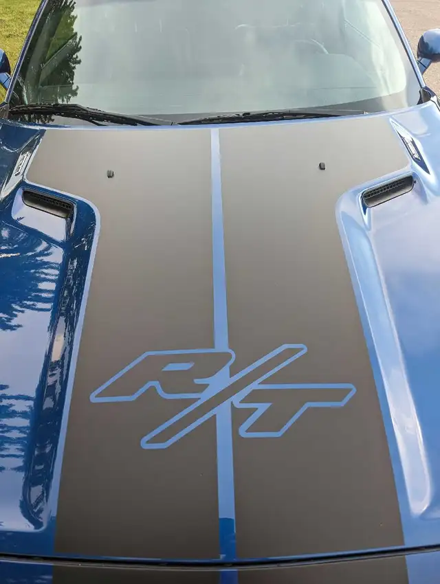 2010 Challenger RT - Photo 5