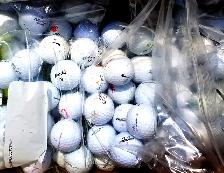 GOLF BALLS 20 FOR $10. TEXT RYAN (204 781-2890