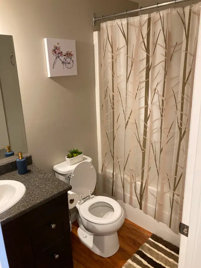 ❤ Posh, cozy, bright FURNISHED suite ✔ Separate Entry ✔ Parking - Photo 5