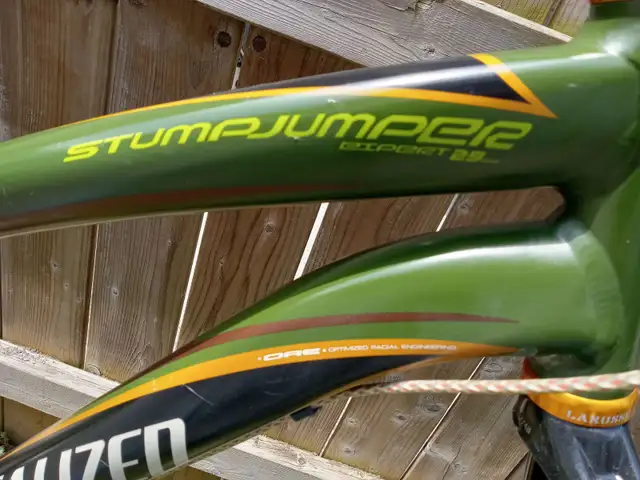 2008 Specialized Stumpjumper FSR Expert 29er XL - Photo 7