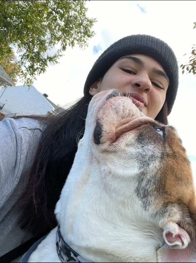 Emy’s Pets - Gardiennage Animaux - Pet Sitting
