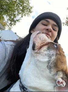 Emy’s Pets - Gardiennage Animaux - Pet Sitting
