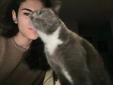 Emy’s Pets - Gardiennage Animaux - Pet Sitting - Photo 2