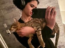 Emy’s Pets - Gardiennage Animaux - Pet Sitting - Photo 8