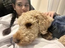 Emy’s Pets - Gardiennage Animaux - Pet Sitting - Photo 10