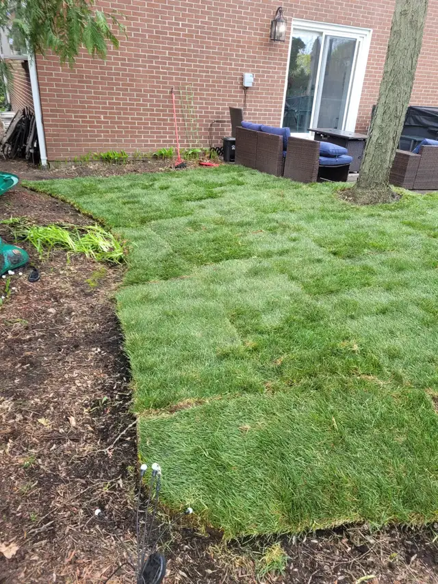 PM Lawn Sprinkler System installation