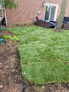 PM Lawn Sprinkler System installation