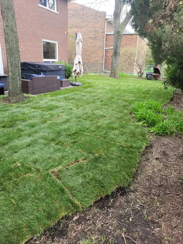 PM Lawn Sprinkler System installation - Photo 3