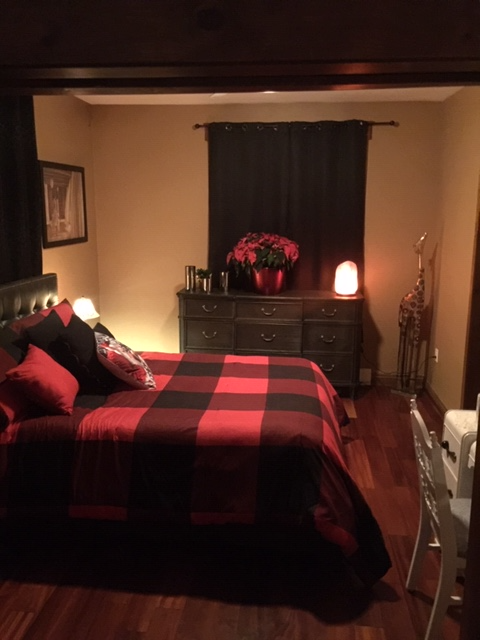 1  BEDROOM MAIN FLOOR,  RENOVATED! DOWNTOWN! - Photo 2