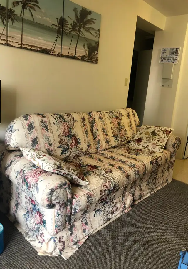 A big floral sofa -  Only for $15