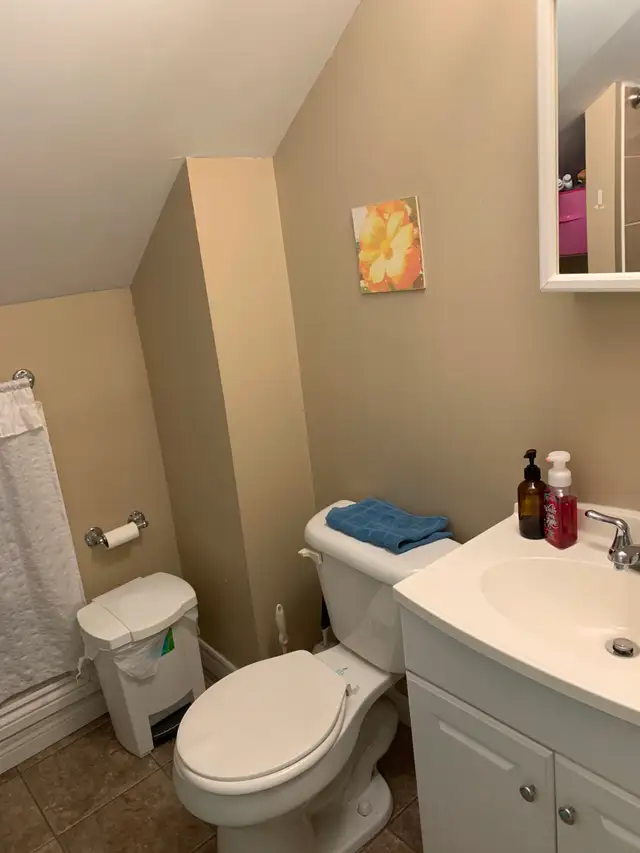 5 bdrm house avail in downtown Peterborough for students/grads - Photo 8
