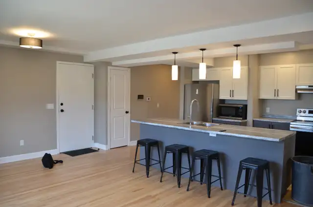 New 3BR — Truly All-Inclusive w/ Parking, Snow & Lawn Care - Photo 7