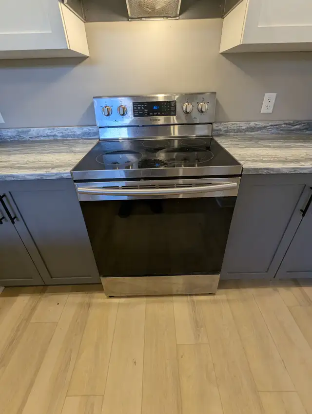 New 3BR — Truly All-Inclusive w/ Parking, Snow & Lawn Care - Photo 11